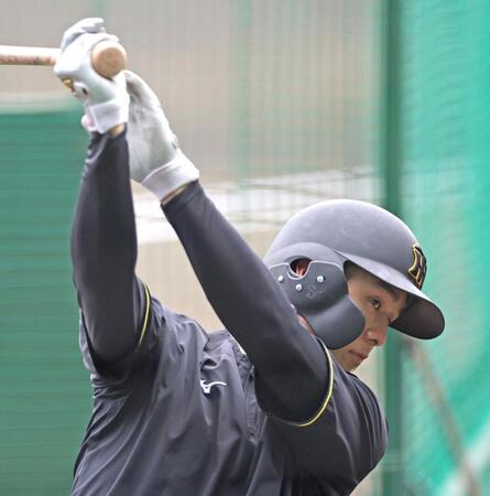 　打撃練習する小幡（撮影・北村雅宏）