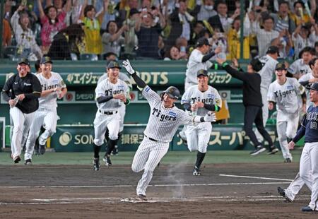 　１０回、サヨナラ打を放ち歓喜する木浪（中央）ら阪神ナイン（撮影・立川洋一郎）