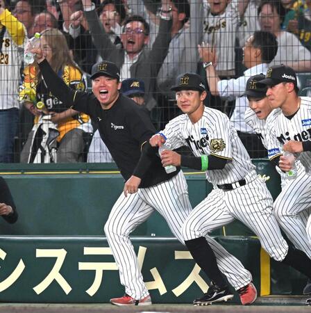 　サヨナラに歓喜の表情でベンチを飛び出す村上ら阪神ナイン（撮影・飯室逸平）