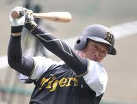 　打撃練習する近本（撮影・北村雅宏）