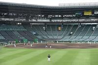 　試合前練習でシートノックをする阪神ナイン（撮影・西田忠信）