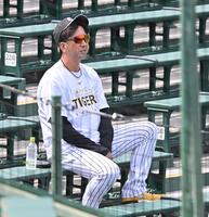 　スタンドから練習を見る藤川監督（撮影・西田忠信）