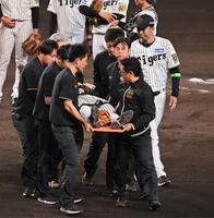 　９回、打球が頭部を直撃し担架で運ばれる石井を心配そうに見つめる藤川監督（右）＝撮影・西田忠信