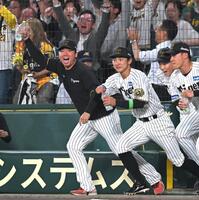 　サヨナラに歓喜の表情でベンチを飛び出す村上ら阪神ナイン（撮影・飯室逸平）