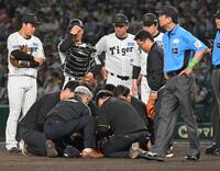 　負傷した石井を心配する藤川監督ら（撮影・飯室逸平）