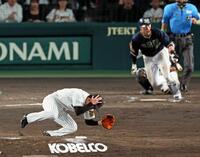 　９回、広岡の打球が頭部を直撃し倒れ込む石井（撮影・立川洋一郎）
