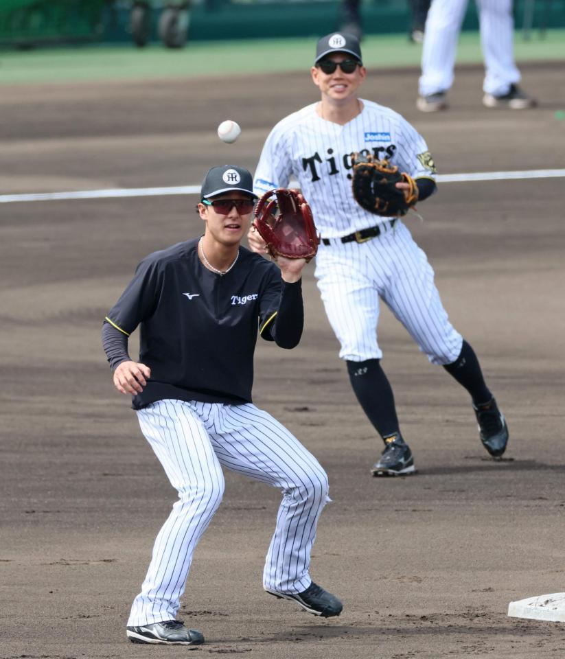 　打撃練習前のシートノックで送球を受ける小幡（撮影・立川洋一郎）