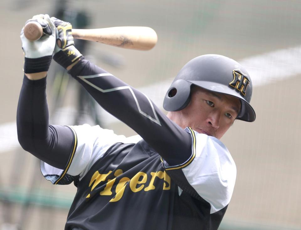 　打撃練習する近本（撮影・北村雅宏）