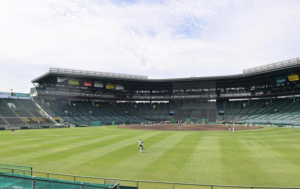 　打撃練習前にシートノックを行う阪神ナイン（撮影・立川洋一郎）