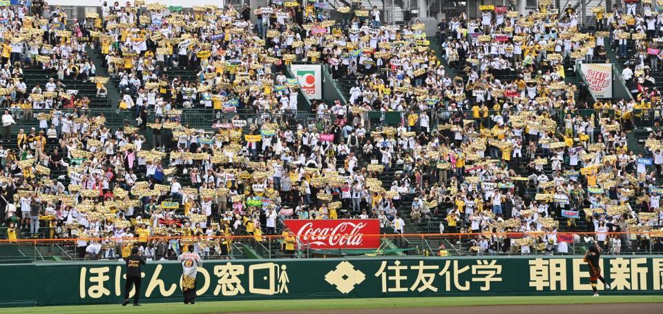 　タオルを手に湘南乃風と盛り上がるライトスタンドのファン （撮影・飯室逸平）