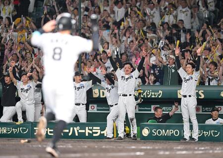 　８回、坂本の３ランに歓喜する森下ら阪神ナイン（撮影・飯室逸平）