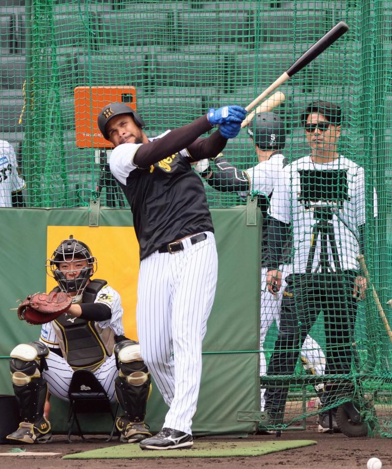 　フリー打撃で打ち込むヘルナンデス（撮影・立川洋一郎）