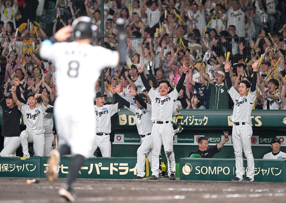 　８回、坂本の３ランに歓喜する森下ら阪神ナイン（撮影・飯室逸平）