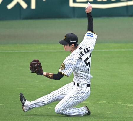 　６回、杉本の打球を好捕する中野（撮影・飯室逸平）