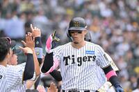 　８回、満塁本塁打を放ちナインに迎えられる佐藤輝（撮影・西田忠信）