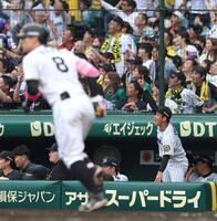 　８回、佐藤輝（手前）が満塁本塁打を放ち、喜ぶベンチの伊原（右）＝撮影・北村雅宏