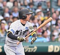 　８回、中前打を放つ近本（撮影・西田忠信）