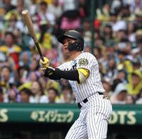 　３回、３ランを放つ森下（撮影・北村雅宏）