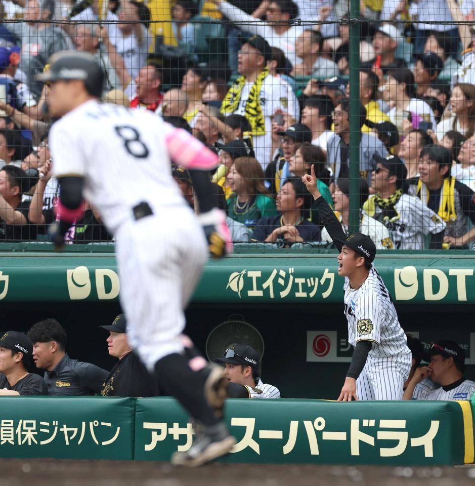 　８回、佐藤輝（手前）が満塁本塁打を放ち、喜ぶベンチの伊原（右）＝撮影・北村雅宏