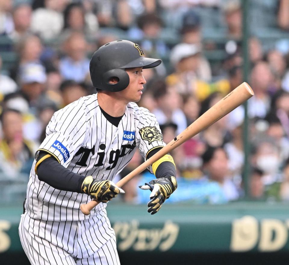 　８回、中前打を放つ近本（撮影・西田忠信）