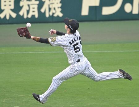 　６回、杉本の打球を好捕する中野（撮影・飯室逸平）