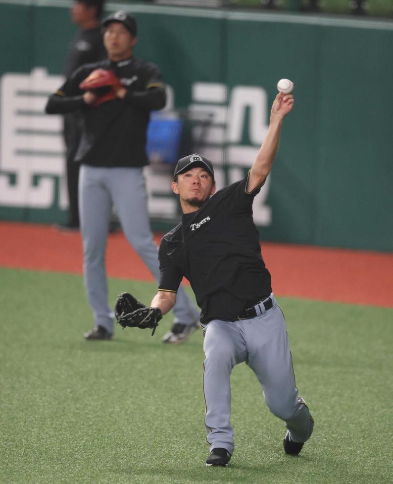 　調整する伊藤将（撮影・金田祐二）