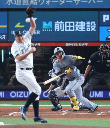 　６回、中前に先制適時打を放つ森下（撮影・金田祐二）