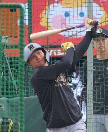　打撃練習する森下（撮影・西岡正）
