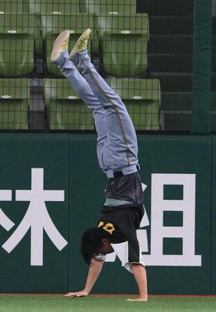 　試合前の練習中に逆立ちで前に進む湯浅（撮影・堀内翔）