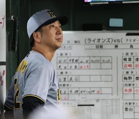 　グラウンドを見つめる藤川監督（撮影・田中太一）