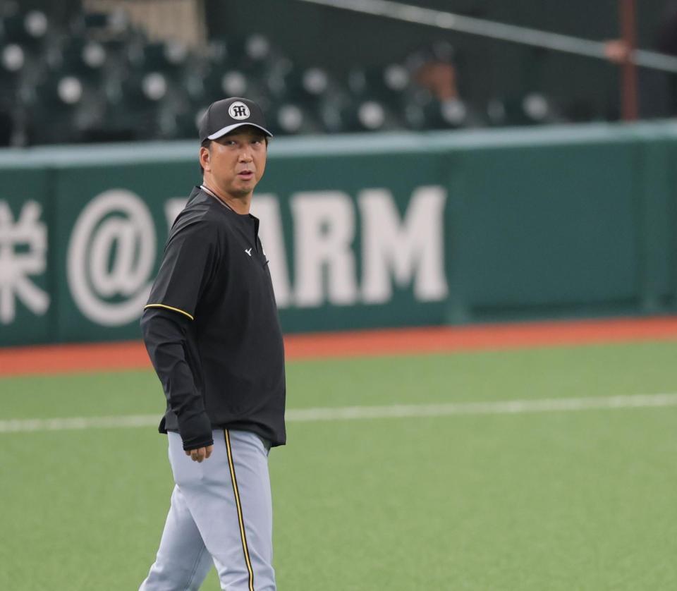 　打撃練習を見る藤川監督（撮影・西岡正）