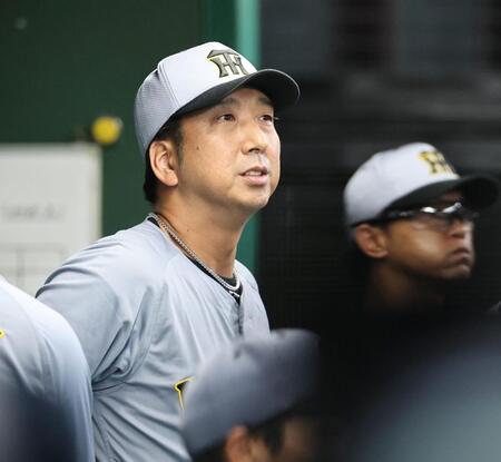 　９回、戦況を見つめる藤川監督（撮影・田中太一）