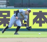 　ライトでシートノックを受ける佐藤輝（撮影・西岡正）