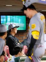 　９回、試合を見つめる藤川監督。手前は一邪飛に倒れた森下