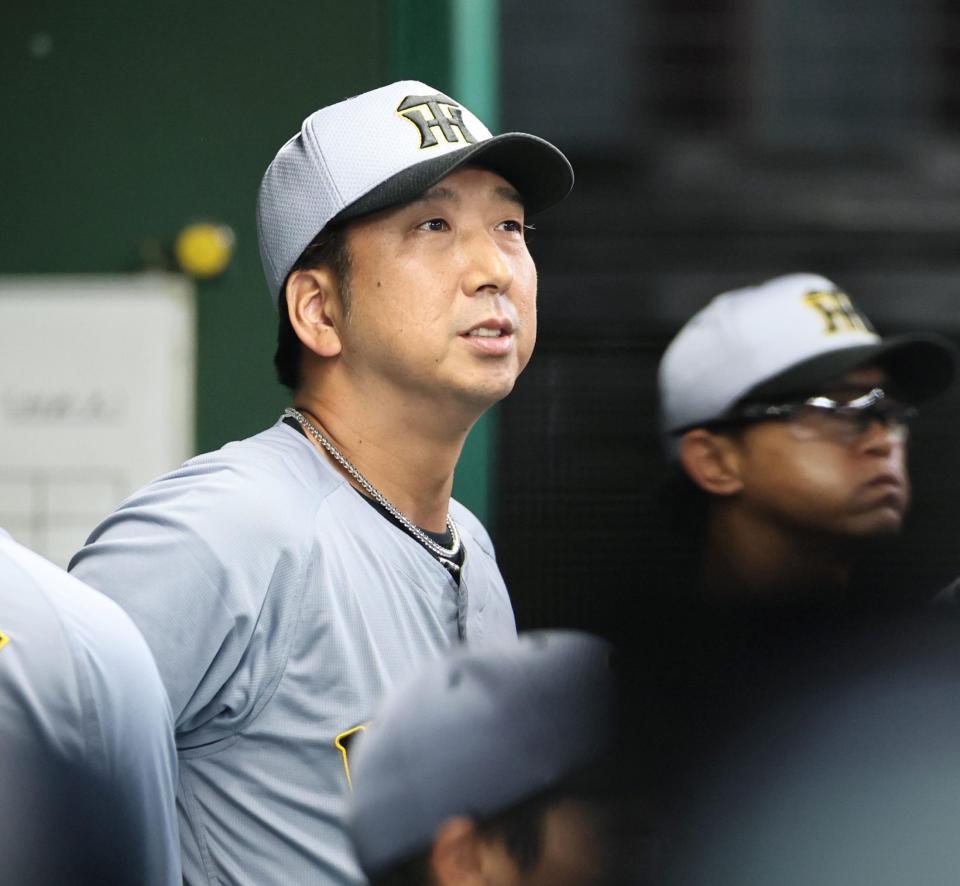 　９回、戦況を見つめる藤川監督（撮影・田中太一）