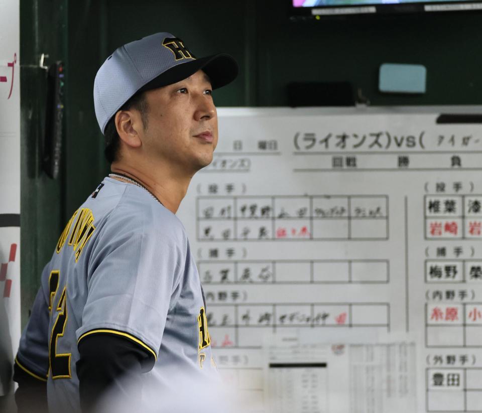 　グラウンドを見つめる藤川監督（撮影・田中太一）