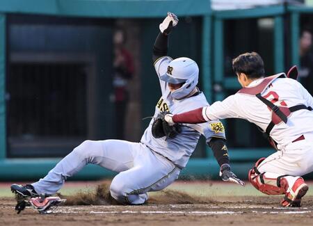 　２回、豊田の安打で本塁を狙うも、アウトとなる大山（撮影・田中太一）