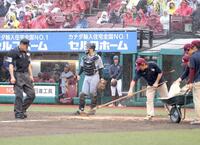 　７回、ベンチでグラウンド整備を待つ藤川監督（奥）＝撮影・西岡正