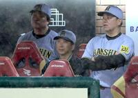 　楽天にサヨナラ負けし、グラウンドを見つめる藤川監督（中央）＝撮影・西岡正