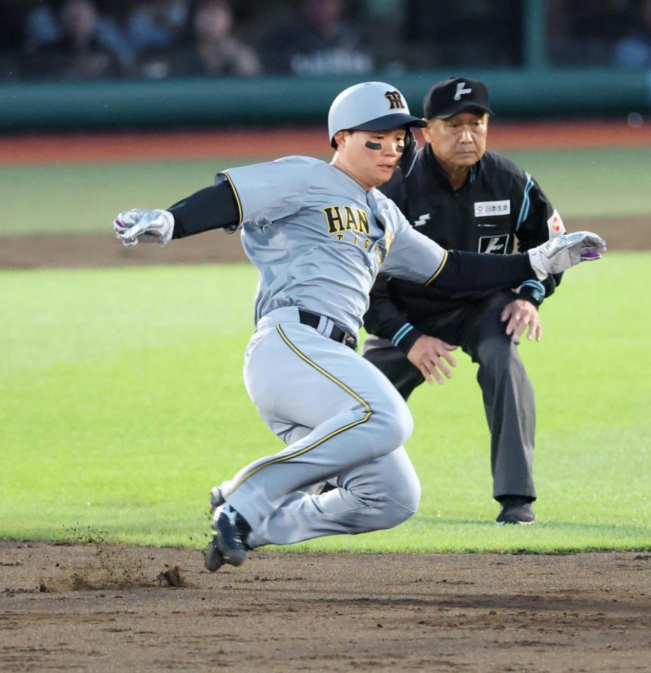 7月22日まで値下げ中！！公式完売品　阪神タイガース　Mサイズ　状態良好 f_19105475.jpg