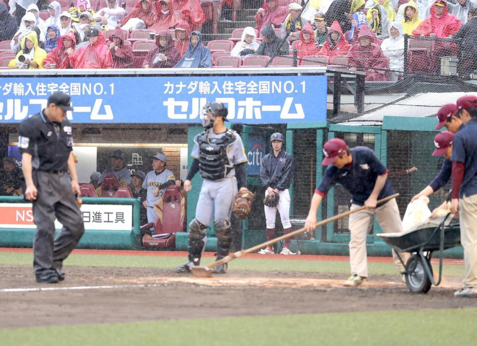 　７回、ベンチでグラウンド整備を待つ藤川監督（奥）＝撮影・西岡正