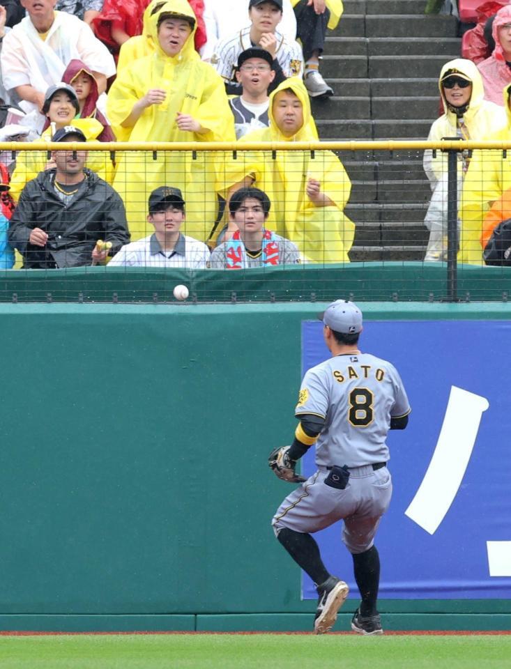 　２回、ゴンザレスの打球がフェンス直前で落下してスタンドインし、見送る佐藤輝（撮影・西岡正）