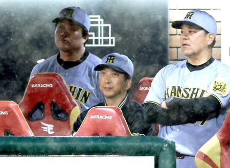 　ベンチからサヨナラ負けを見届ける藤川監督（中央）＝撮影・西岡正
