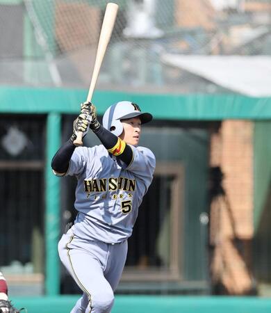 　７回、犠飛を放つ近本（撮影・田中太一）