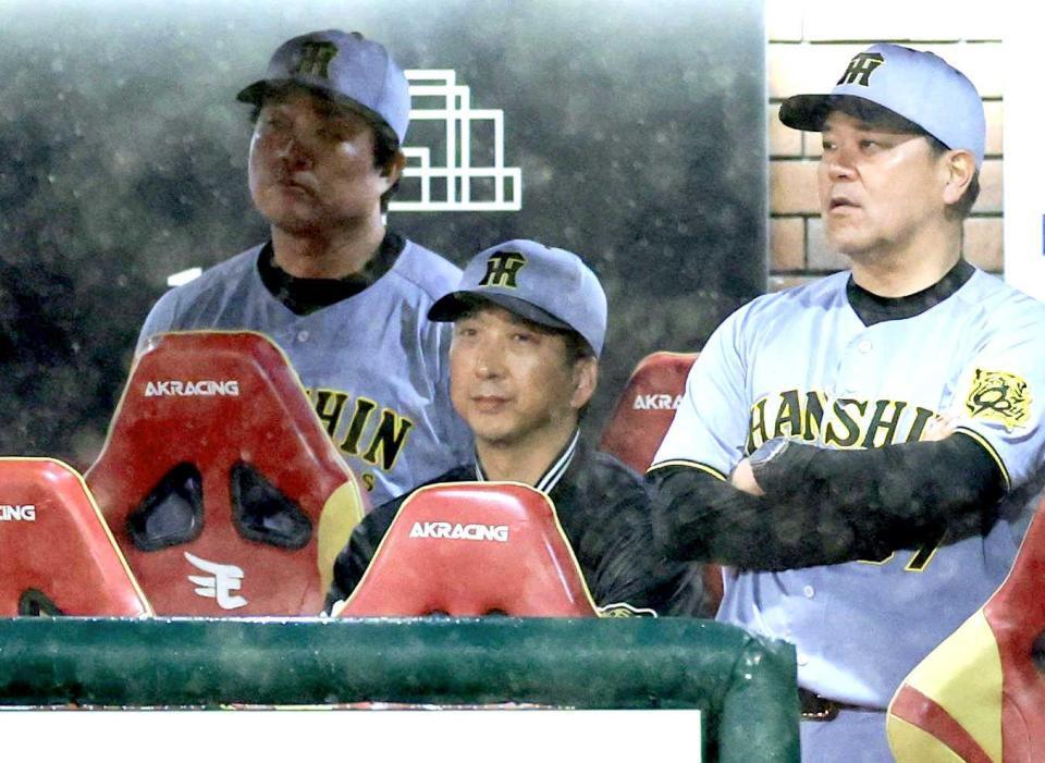 　ベンチからサヨナラ負けを見届ける藤川監督（中央）＝撮影・西岡正