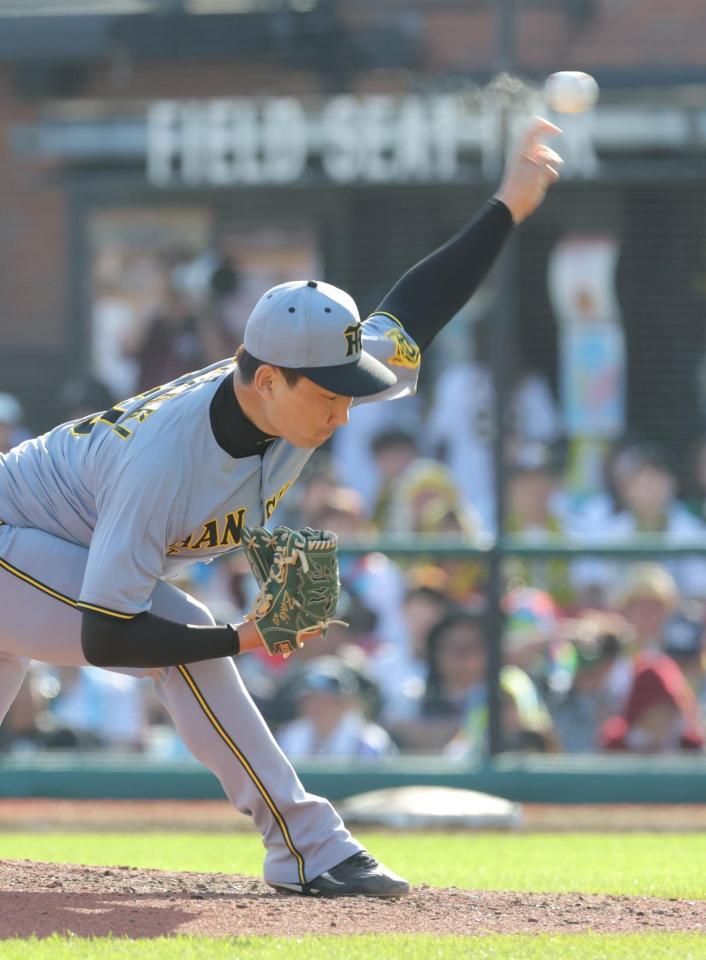 　９回に登板し力投する岩崎（撮影・西岡正）