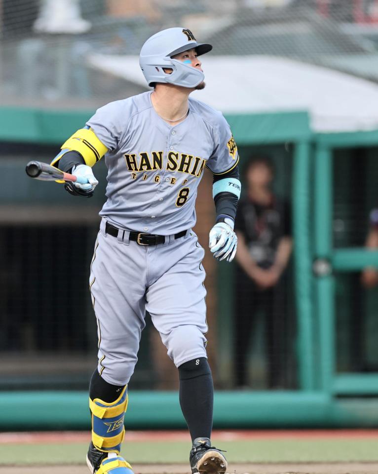 　１１回、安打を放つ佐藤輝は打球を見上げながらゆっくりと一塁へ歩く（撮影・田中太一）