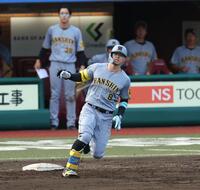 　１１回、打球がスタンドに届かずシングルヒットの佐藤輝＝６月１５日