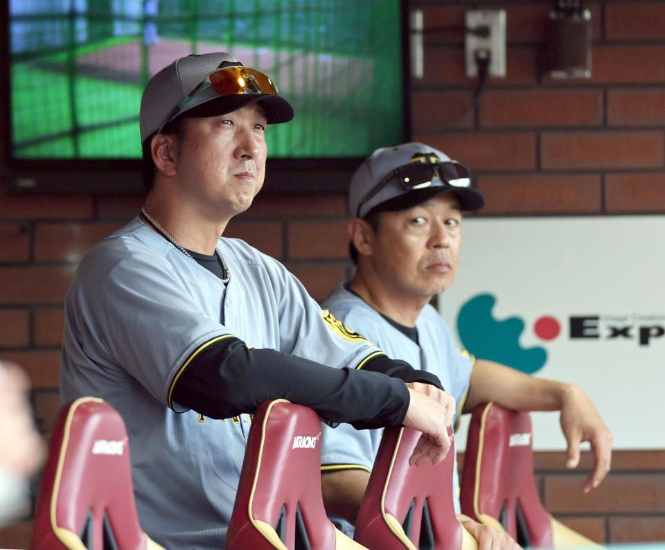 　１１回、佐藤輝の安打がシングルとなり、ベンチから戦況を見つめる藤川監督（撮影・田中太一）