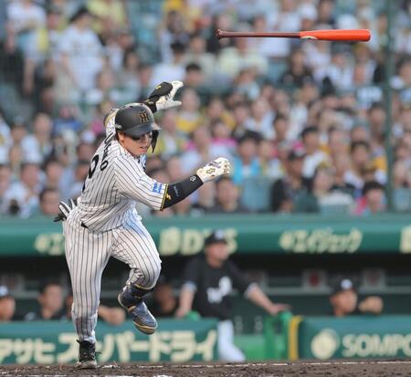 　２回、右前打を放つ梅野（撮影・北村雅宏）